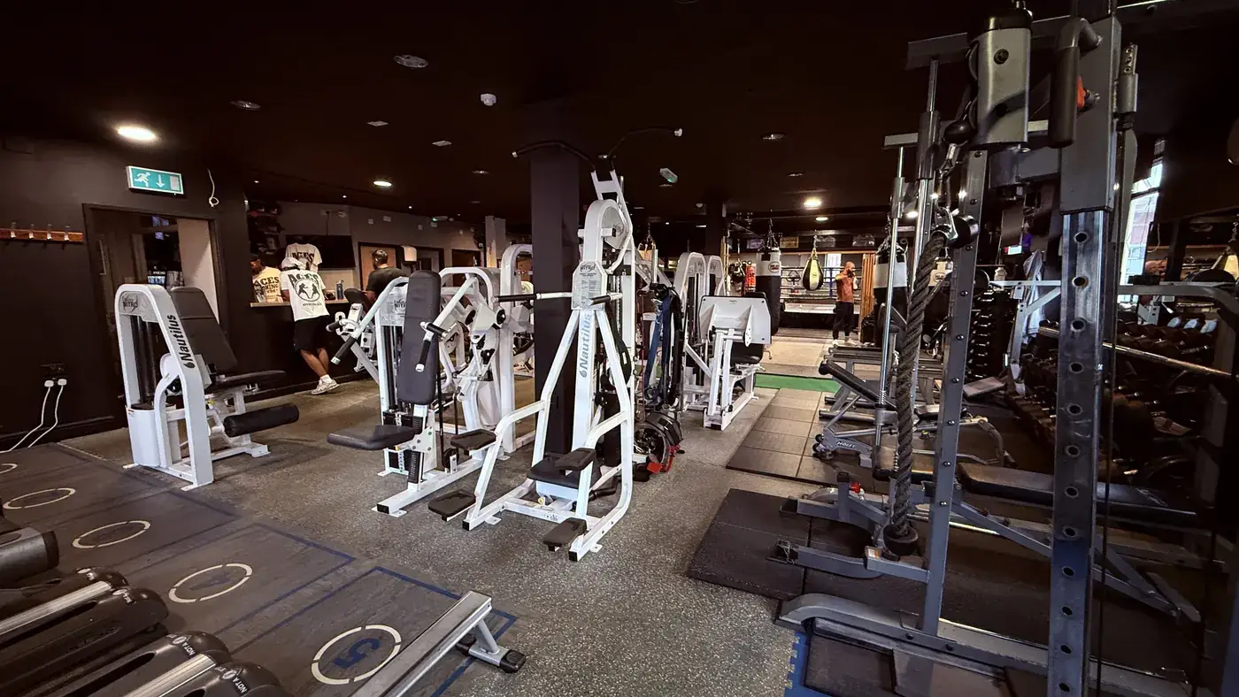 Strength equipment inside ACES gym